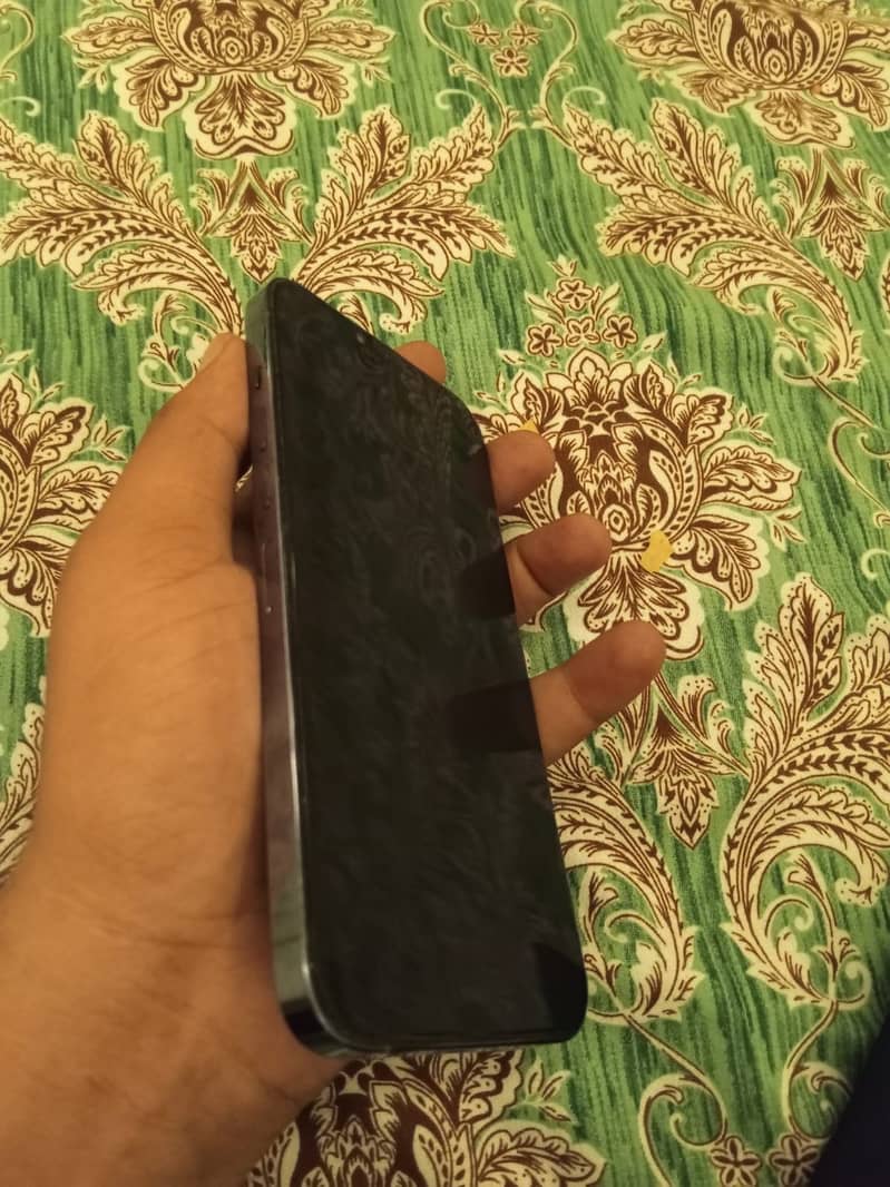 Apple iPhone 13 Pro Max 3