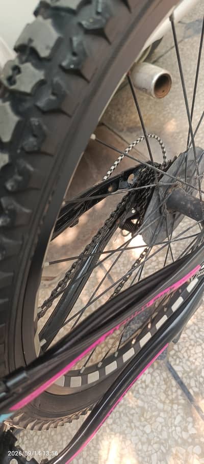 Cycle