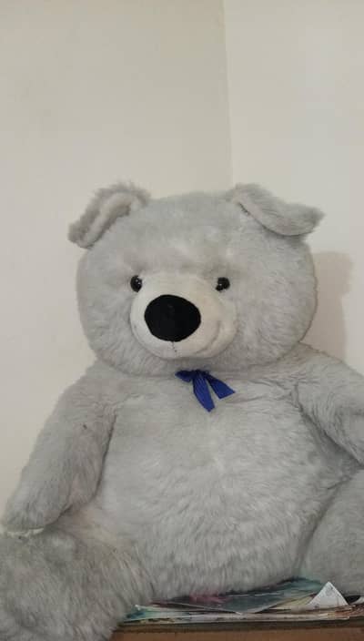 White Teedy Bear ph 03105354113
