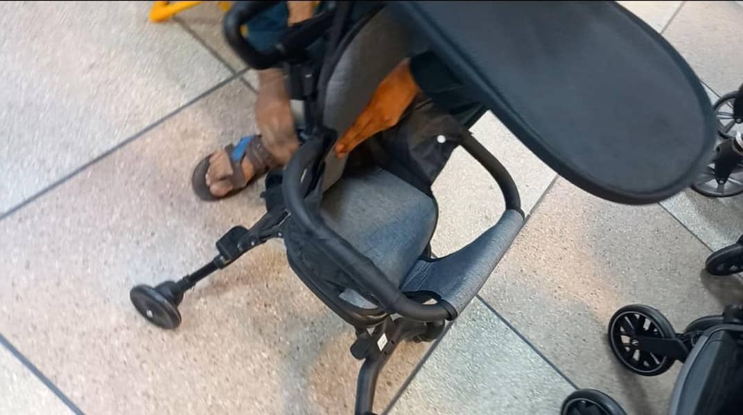 chair stroller 1
