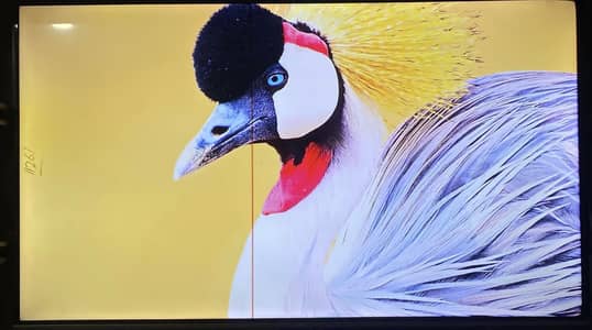 TCL 55” 4K Smart LED TV