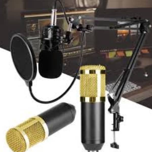 RXN New Bm800 Microphone with V8 Sound Card Recording Kit