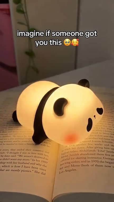 RNX Cute Panda LED Night Light – USB Rechargeable Soft Silicone Sleeping Lamp for Kids'