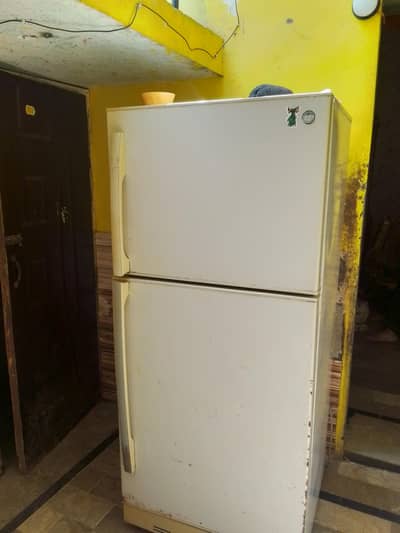 pel fridge,,0314,1026,,316,only call whatsapp