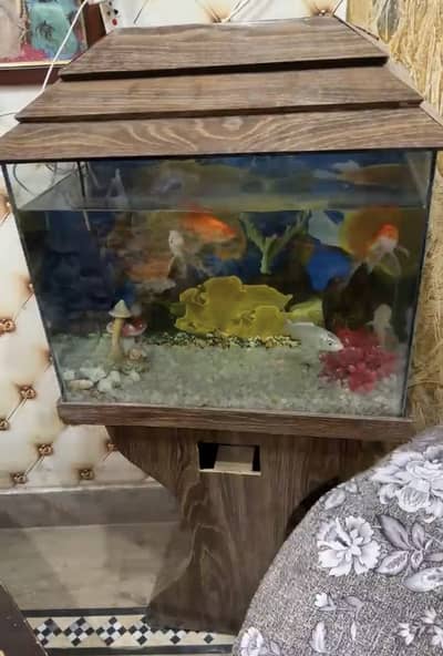 Aquarium for sale in good condition