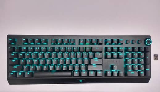 RAZER BLACKWIDOW V2pro / V3pro