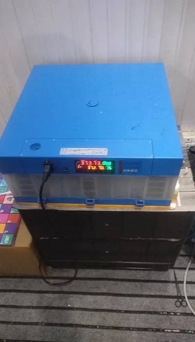incubator 64 egg's fully automatic for sale