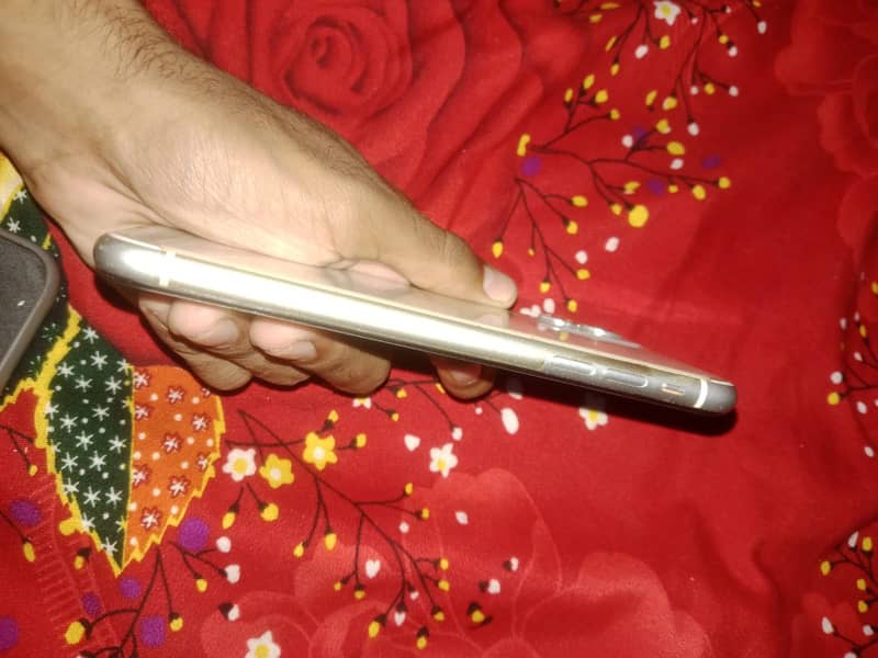 Apple iPhone 11 0