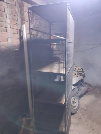 cage 5
