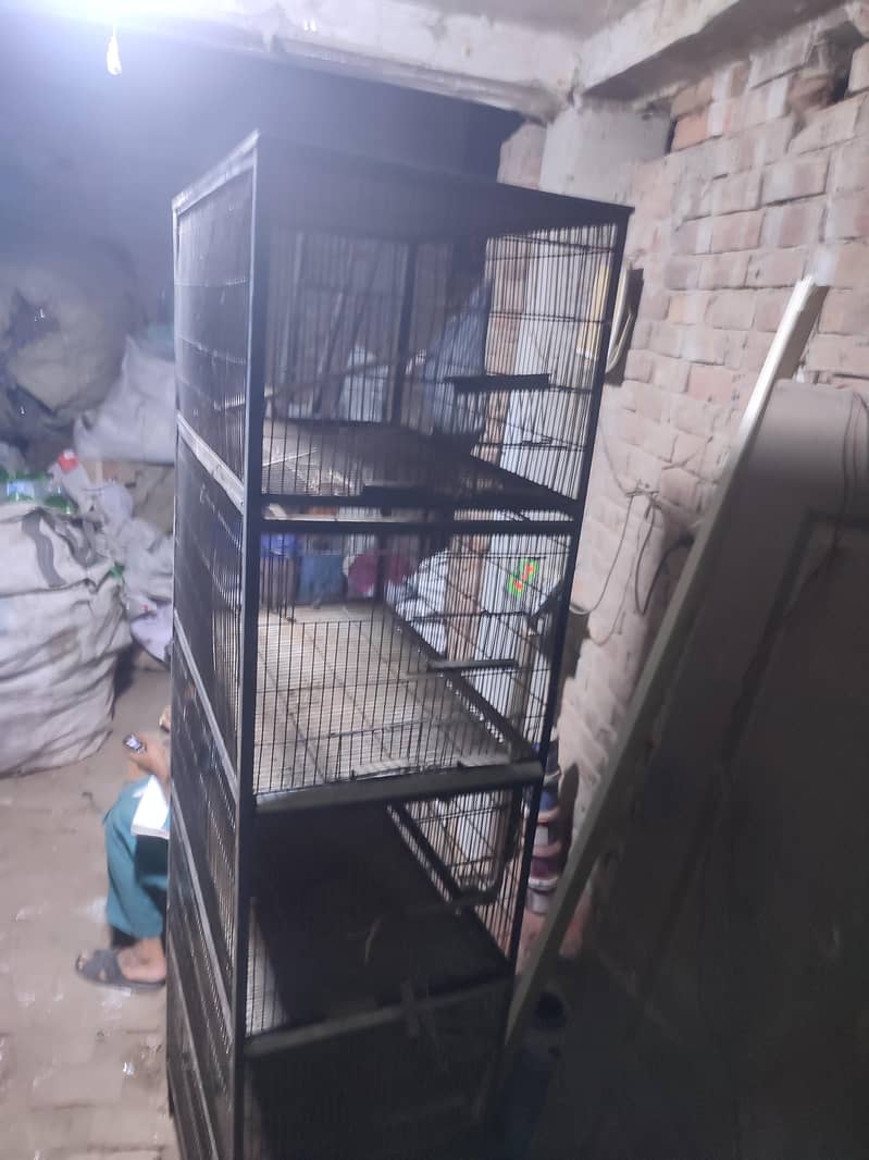 cage 5 1