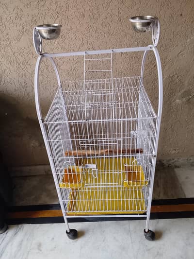 Parrot Cage