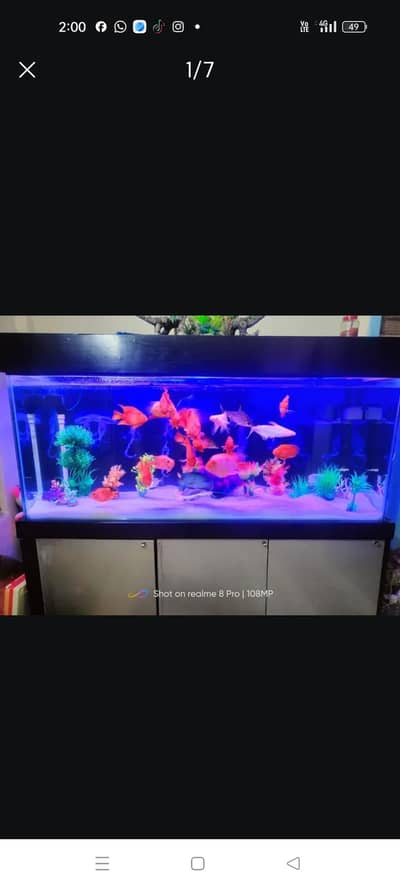 6 fit Aquarium for sale