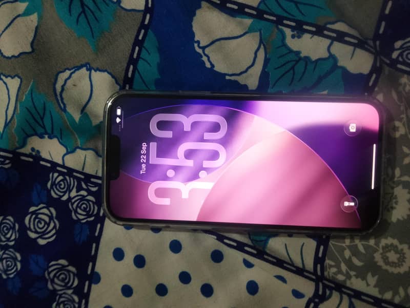 Apple iPhone 13 Pro Max 0