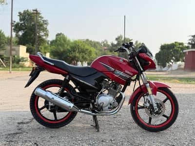 YAMAHA YBR 03313939676