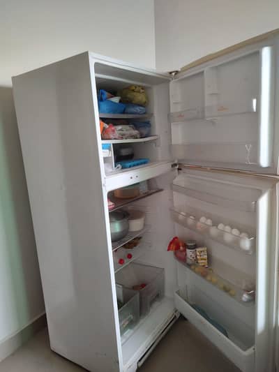 Singer company fridge