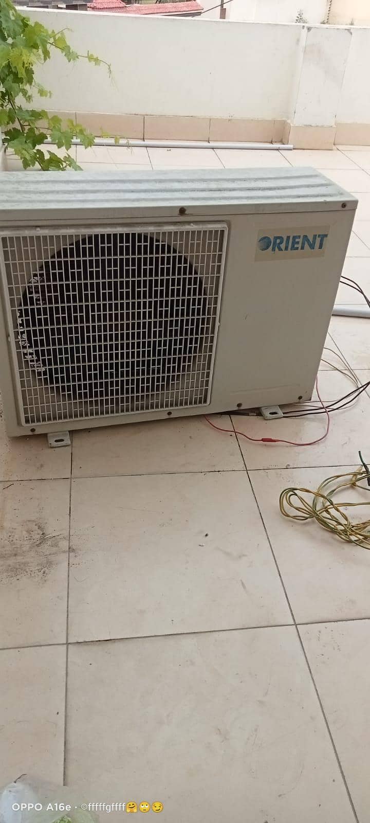 AC Orient 3