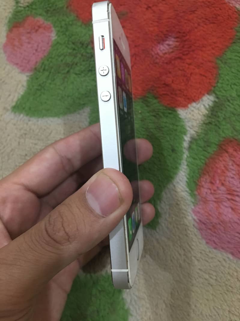 Apple iPhone 5s 12