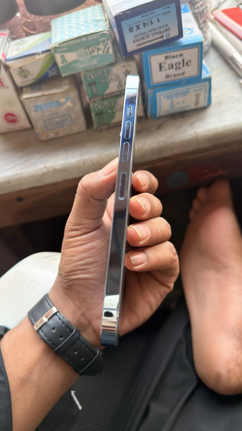 Apple iPhone 13 Pro Max 1