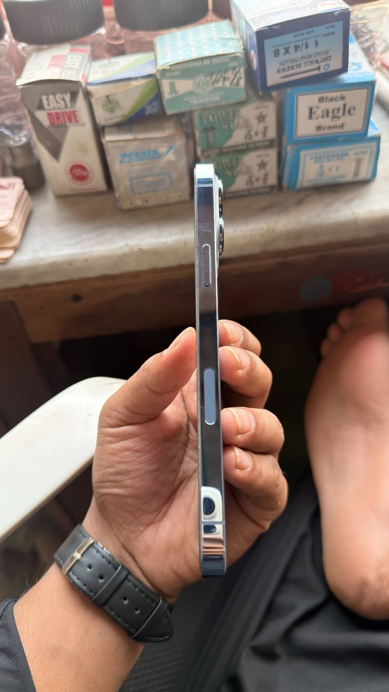 Apple iPhone 13 Pro Max 2