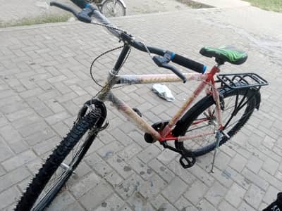 Phoenix cycle for sale New