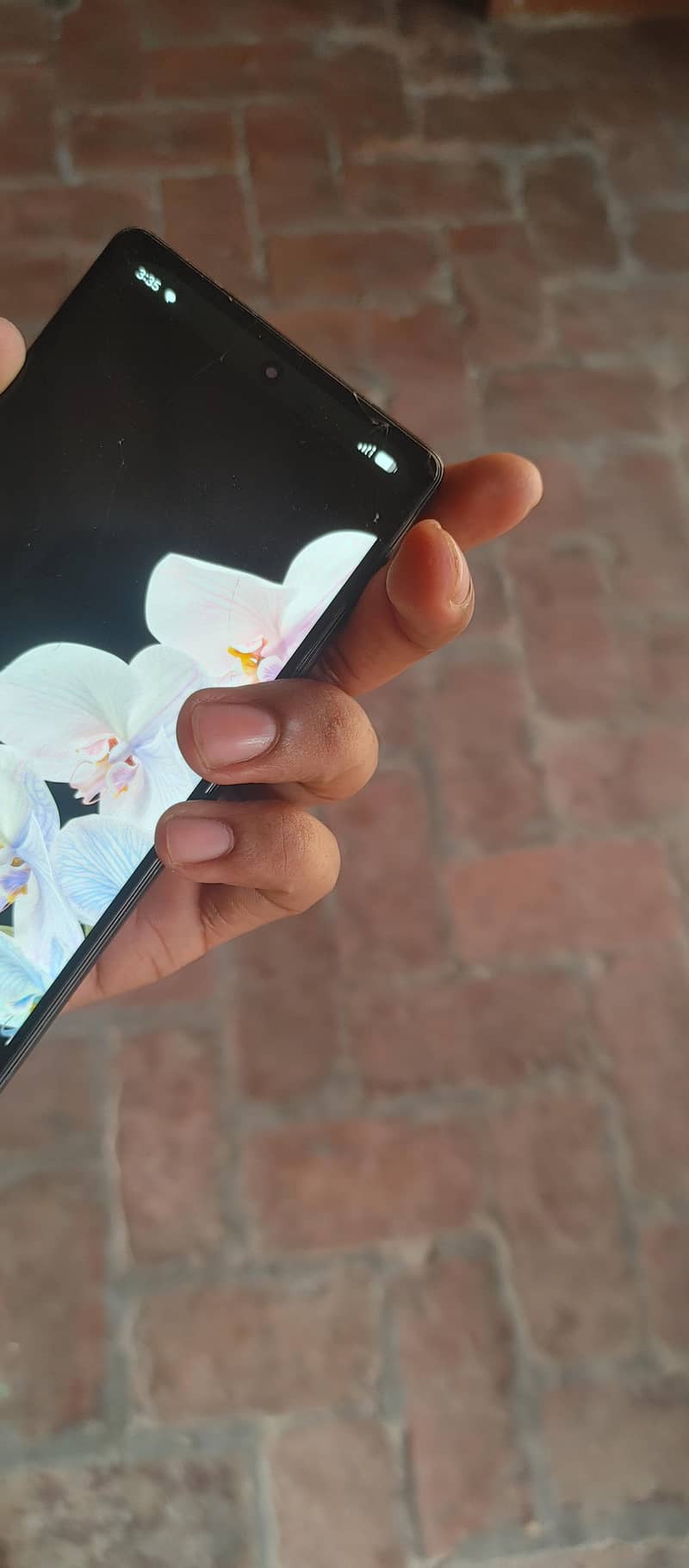 Google Pixel 6 1