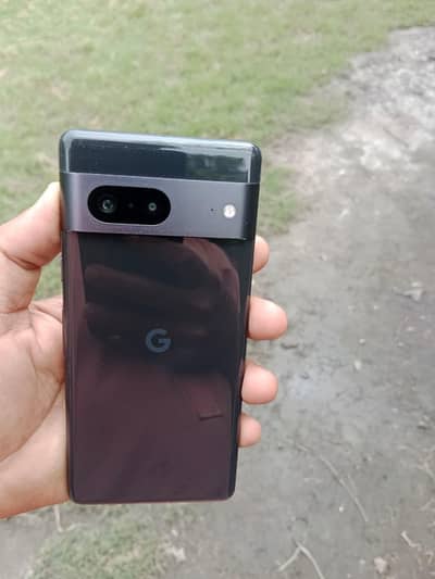 Google Pixel 7 official PTA approved