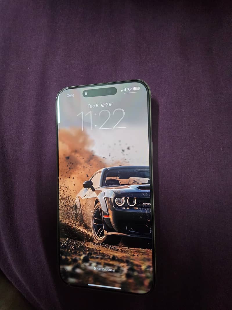 Apple iPhone 15 Pro Max 1