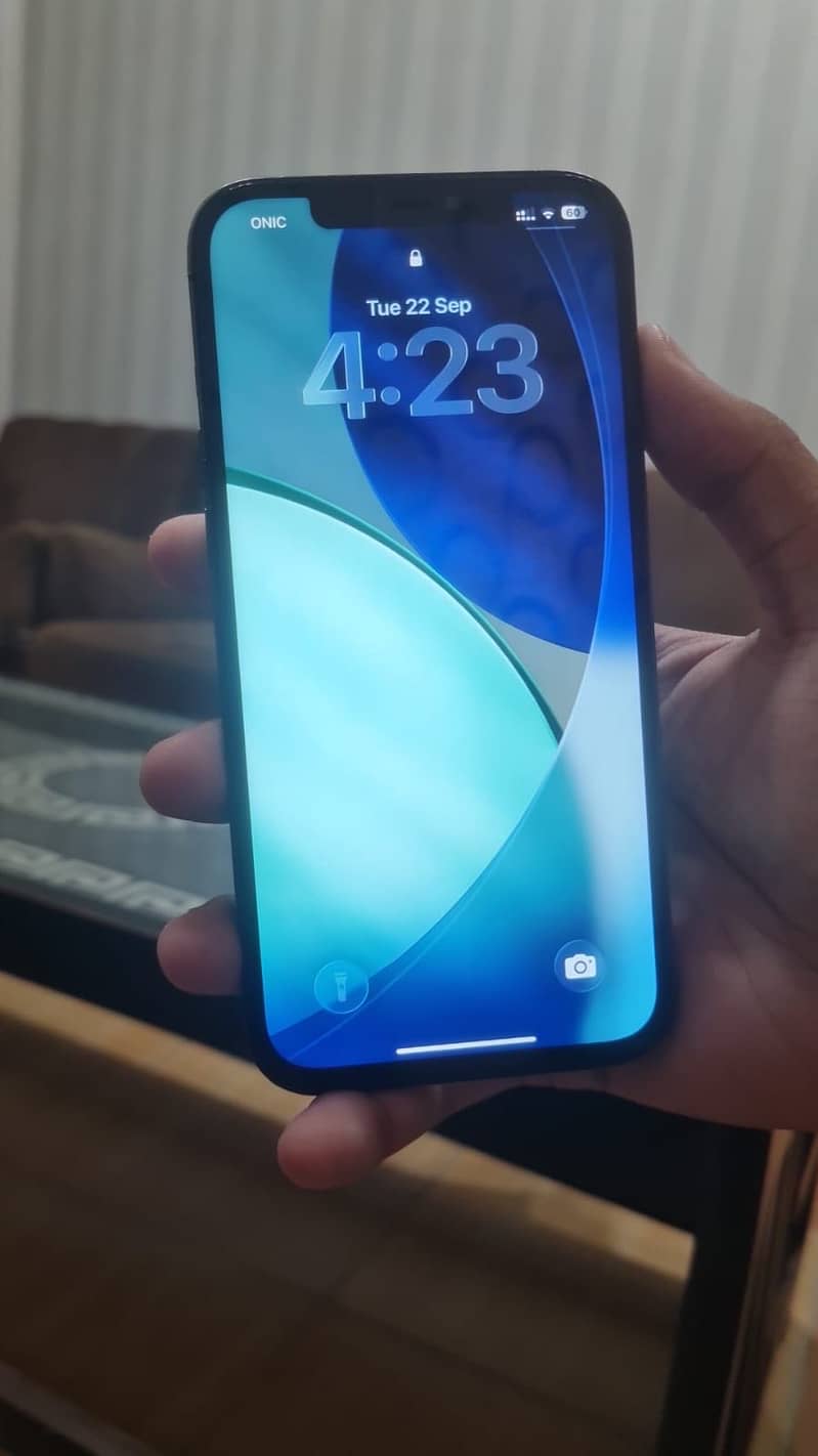 Apple iPhone 12 Pro Max 4