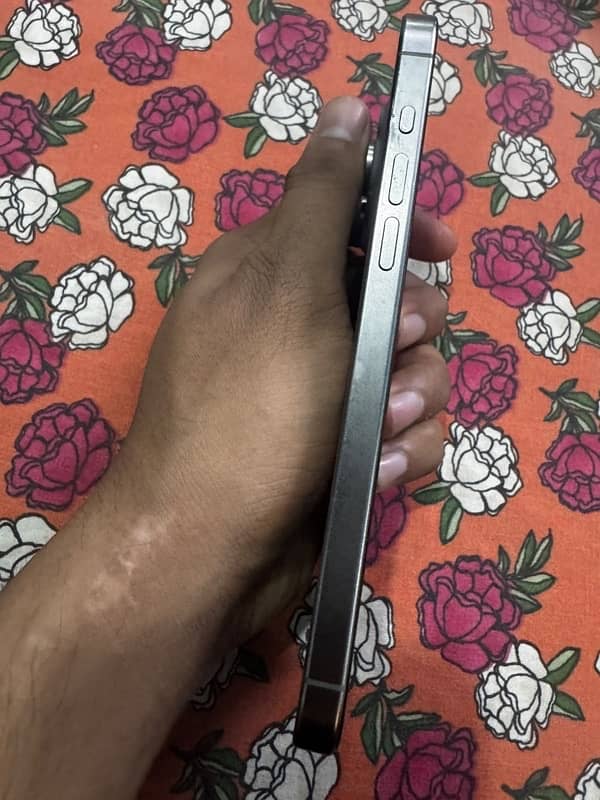 iphone 15 pro max 2