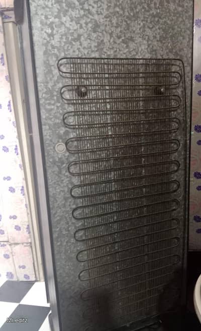 Pel Medium fridge