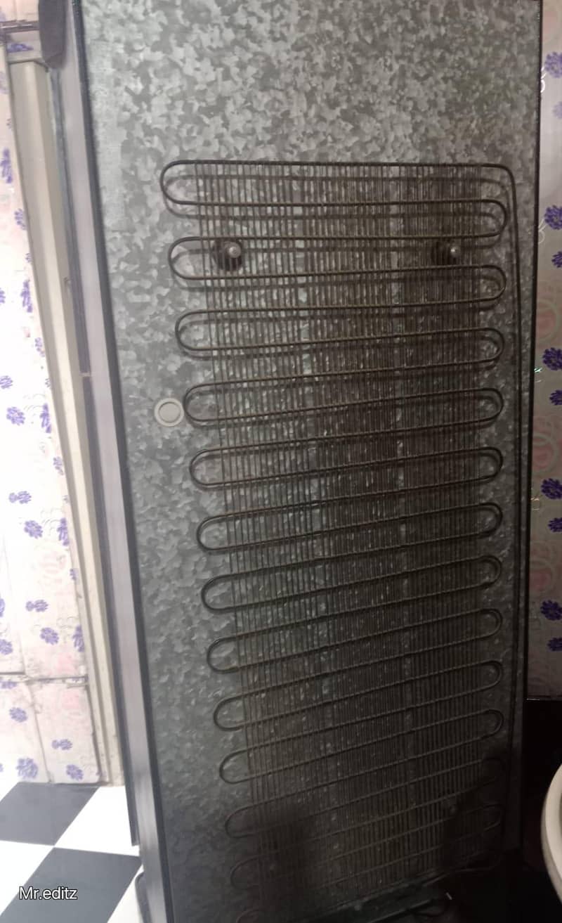 Pel Medium figde 1