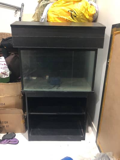 Fish aquarium