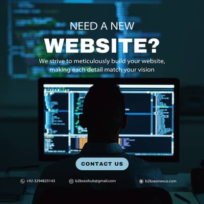 Professional SEO & Web Development Services