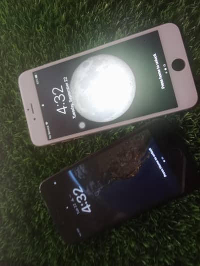 Apple iPhone 8 and iphone 6plus