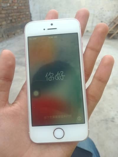 Apple iPhone SE 1
