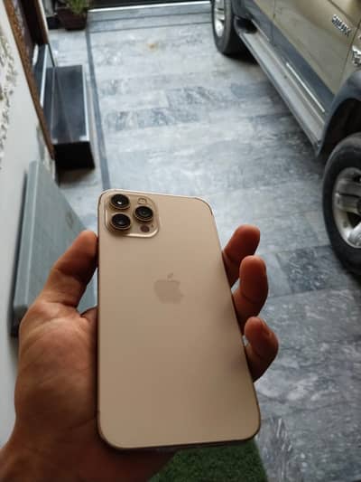 Apple iPhone 12 Pro Max