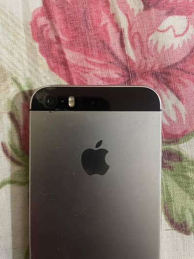 Apple iPhone 5s