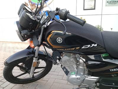 YAMAHA YB 125 DX 2025 FOR SALE ( MINT CONDITION)