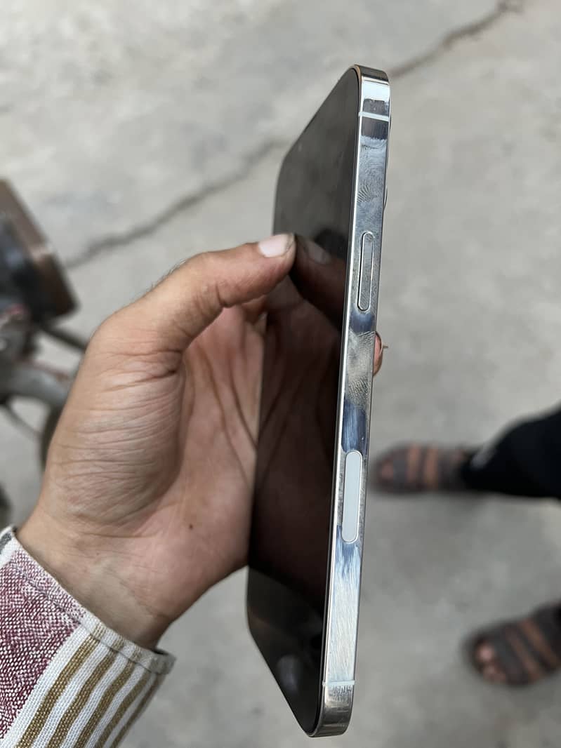 Apple iPhone 13 Pro Max 1