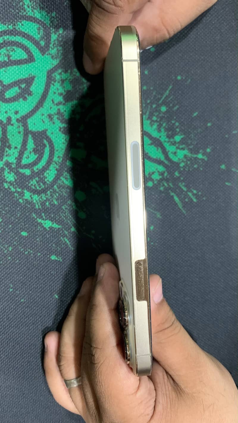 Apple iPhone 13 Pro Max 3