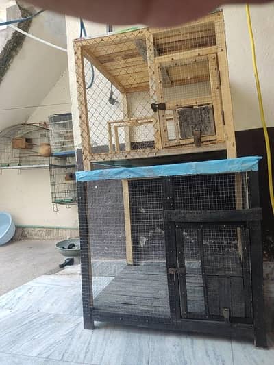 2 adade cages available urgent sale