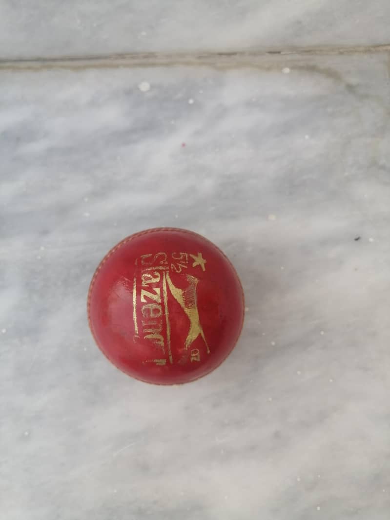 cricket kit 6