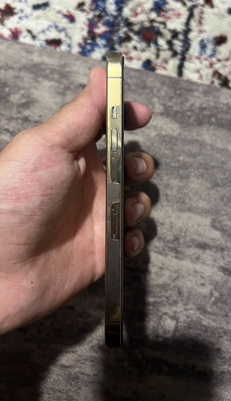 Apple iPhone 13 Pro 1