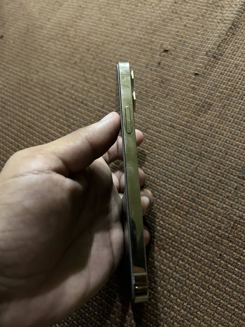 Apple iPhone 12 Pro 3