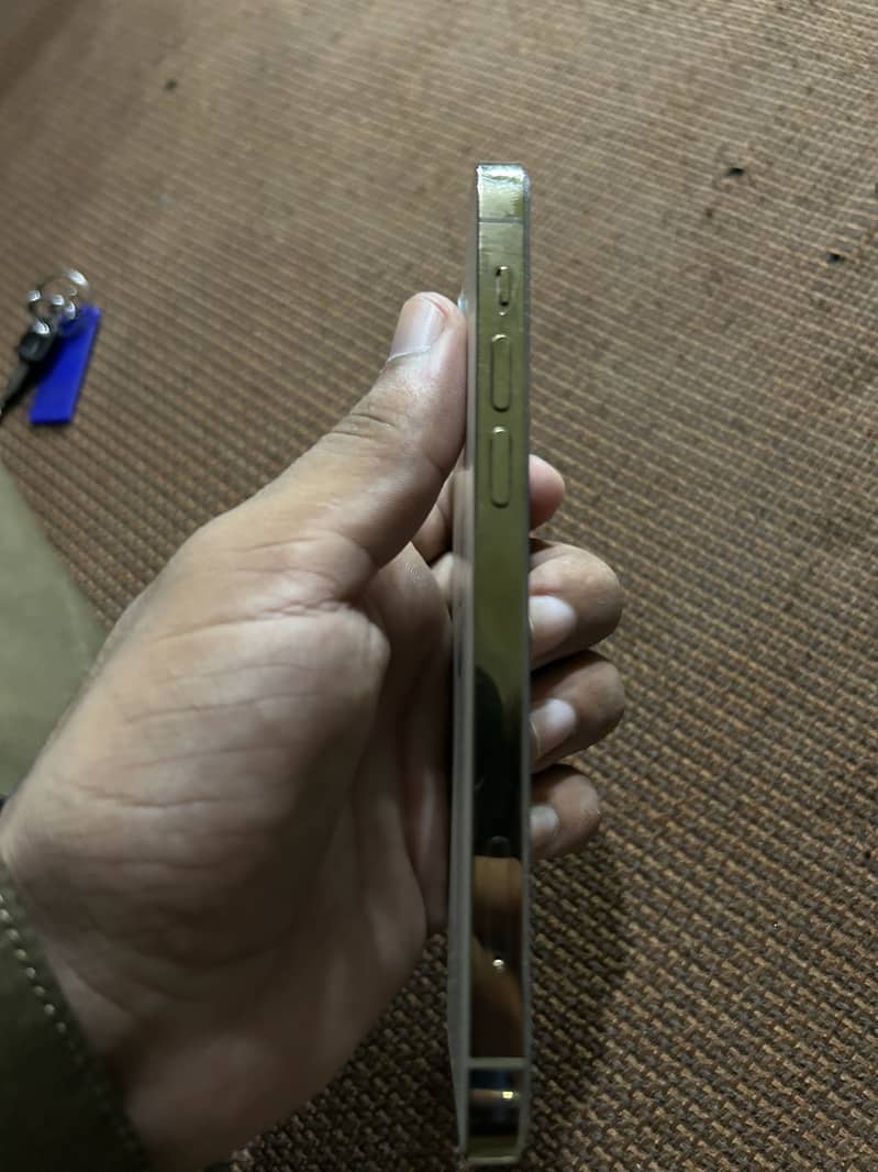 Apple iPhone 12 Pro 4