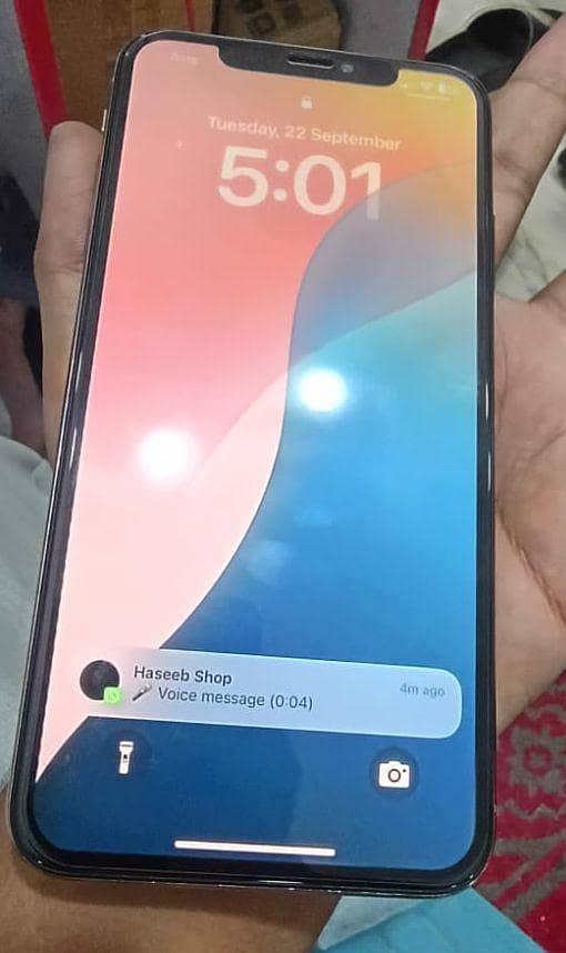 Apple iPhone XS Max 1