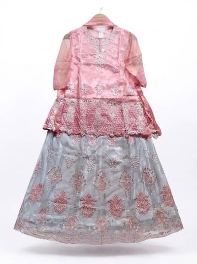 Pink Embroidered Net Lehenga Choli Size 36