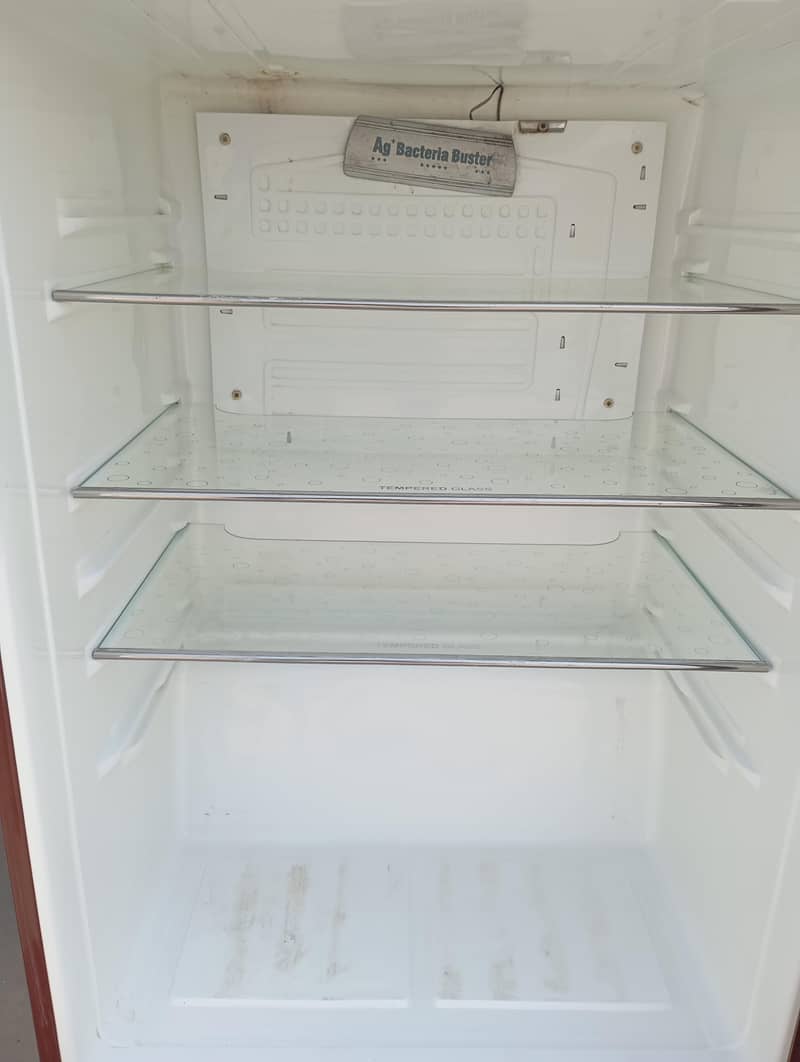 fridge 2