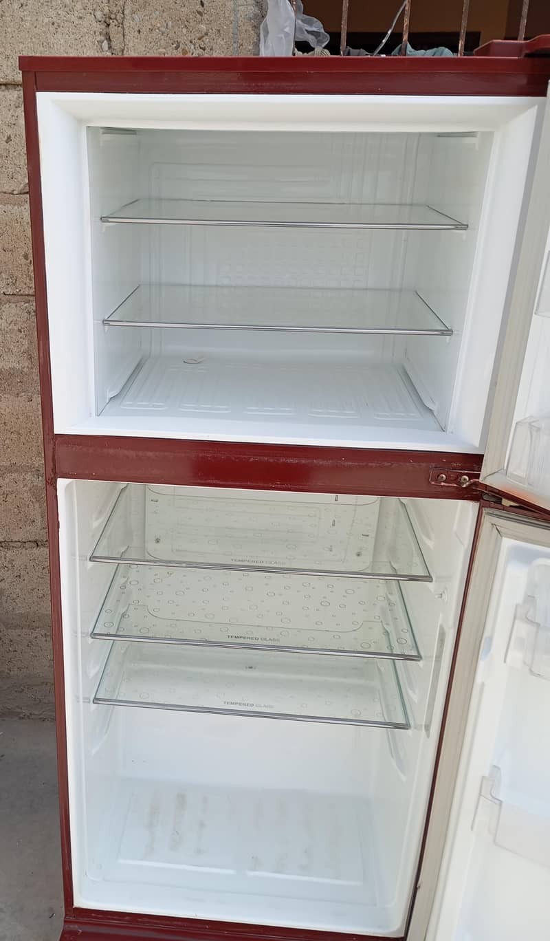 fridge 6