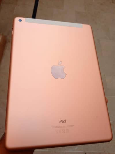 Apple 6th Generation